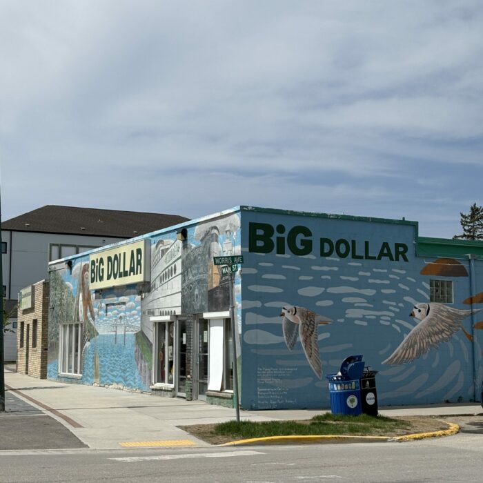 Colour photo of a building with murals of marine scenes. The letters 'Big Dollar' are on both the front and side of the building