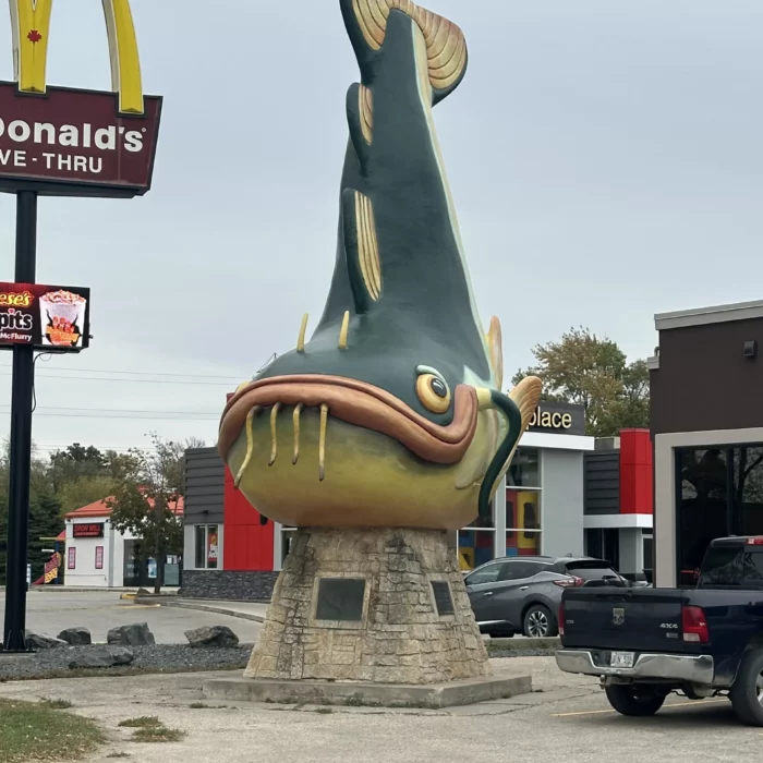 Large Fiber Glass statue of a catfish Infront of a Smitty's restaurant and a McDonald's