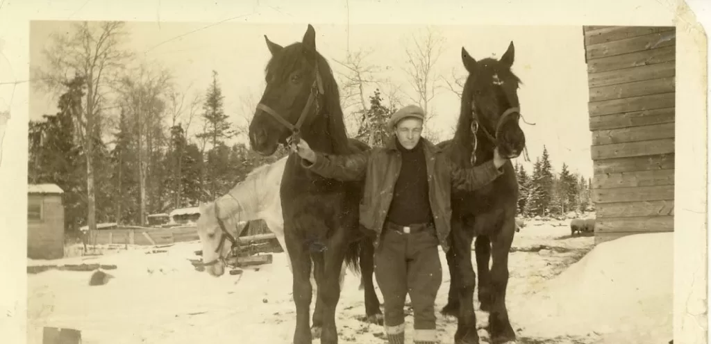 Dad, Jock, Age 14 Worked with Percheron Horses Fish Freighting. Six Years later he Signed up for WWII in 1939, Jock Langlois