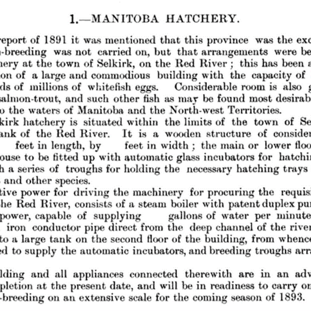 A report about the Manitoba Hatchery that preexisted the Veterans Memorial Gardens
