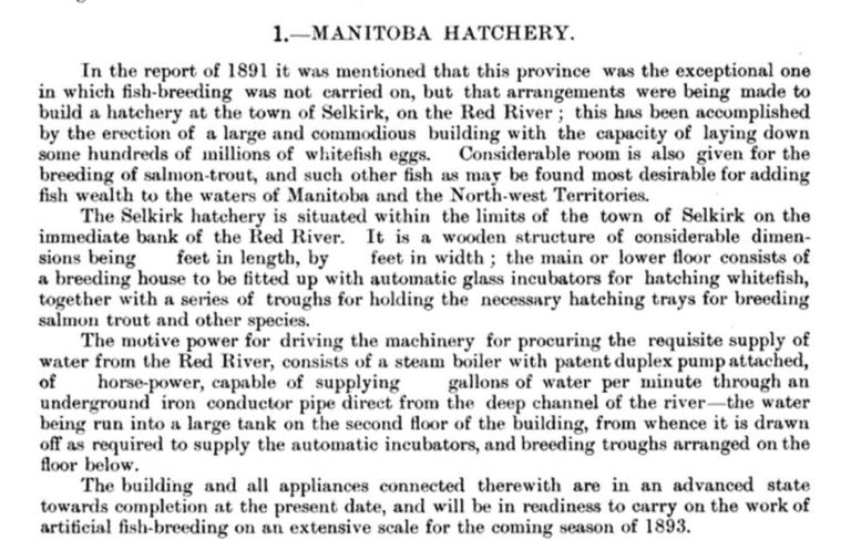 A report about the Manitoba Hatchery that preexisted the Veterans Memorial Gardens