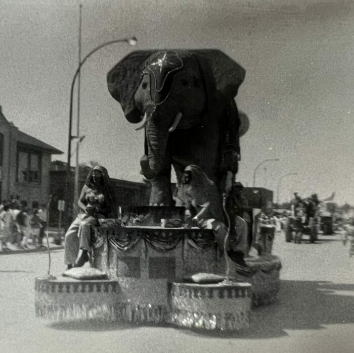 Elephant Float Selkirk Parade, Date Unknown, Selkirk Museum Collection Black and white photo of a big elephant on a parade float