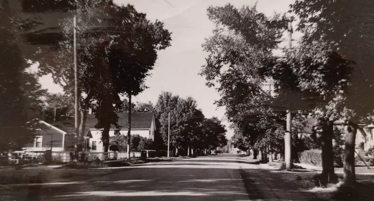 Eveline Street, Date unknown, Selkirk Museum Collection