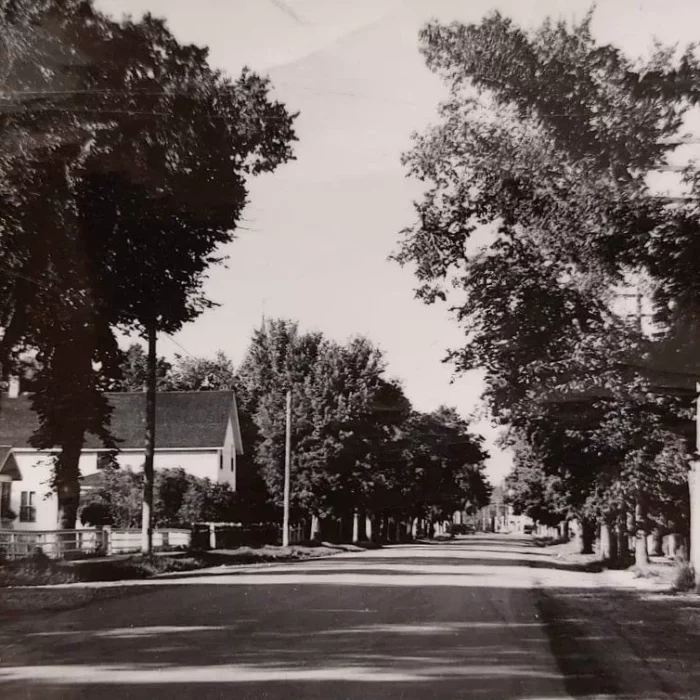 Black and white view of Eveline street
