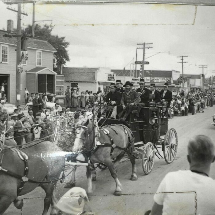 Fair Horses, 1957, Selkirk Museum Collection black and white photo of horses pulling a carriage in the parade