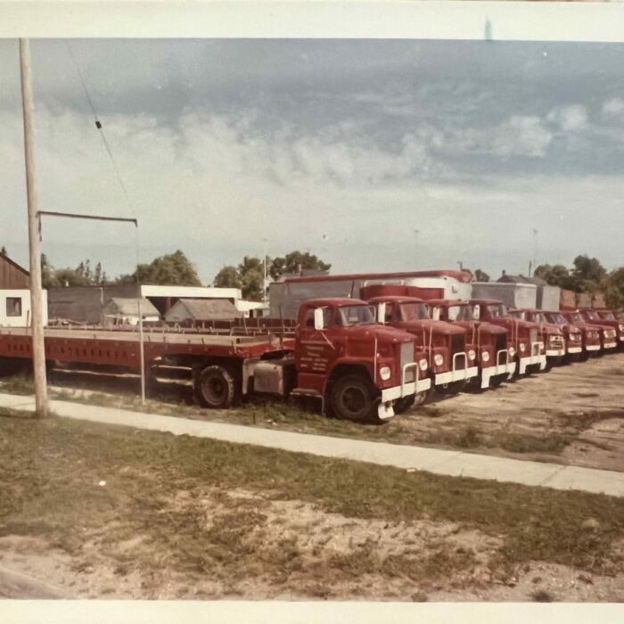 Colour photo of a fleet of red trucks