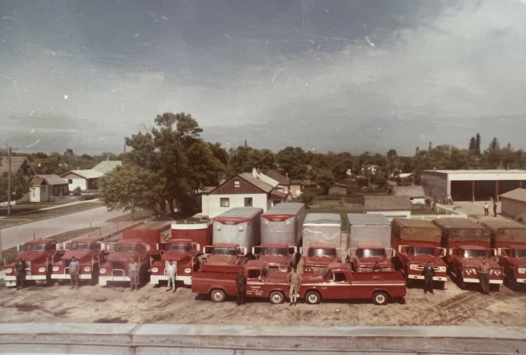 Colour photo of a fleet of trucks
