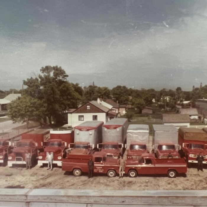 Colour photo of a fleet of trucks