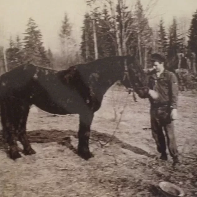 Herbie the Youngest of the Langlois Family at Hecla Island, Date Unknown, Jock Langlois Man holding the reigns of a horse in Hecla island
