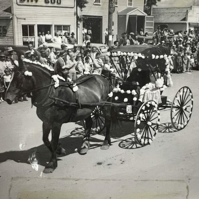 Horse Carriage, 1957, Selkirk Museum Collection black and white photo of a horse pulling a carriage in the parade