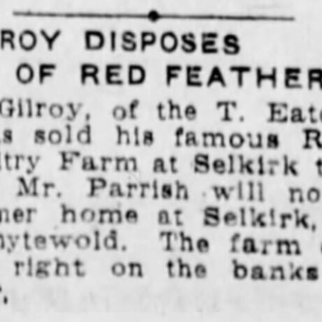 Newspaper article about Mr. Gilroy selling Red Feather Farm.