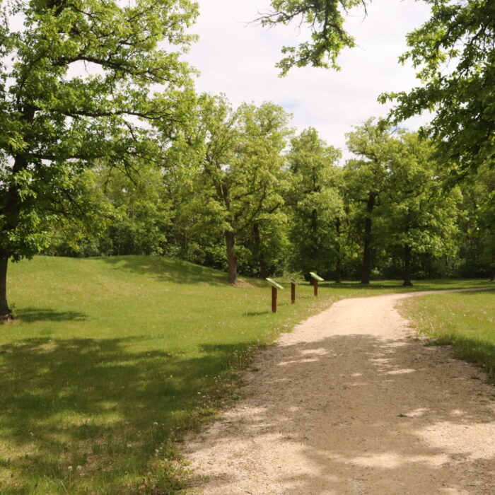 A colour image of a gravel walking path cutting through a grassy, treed space. There are interpretive signs in the distance