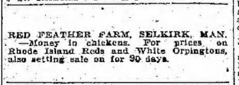Advertisement about Red Feather Farm in a newspaper.