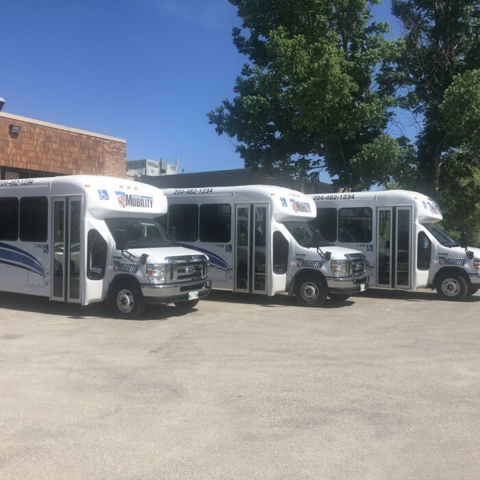Colour photo of three busses parked beside eachother