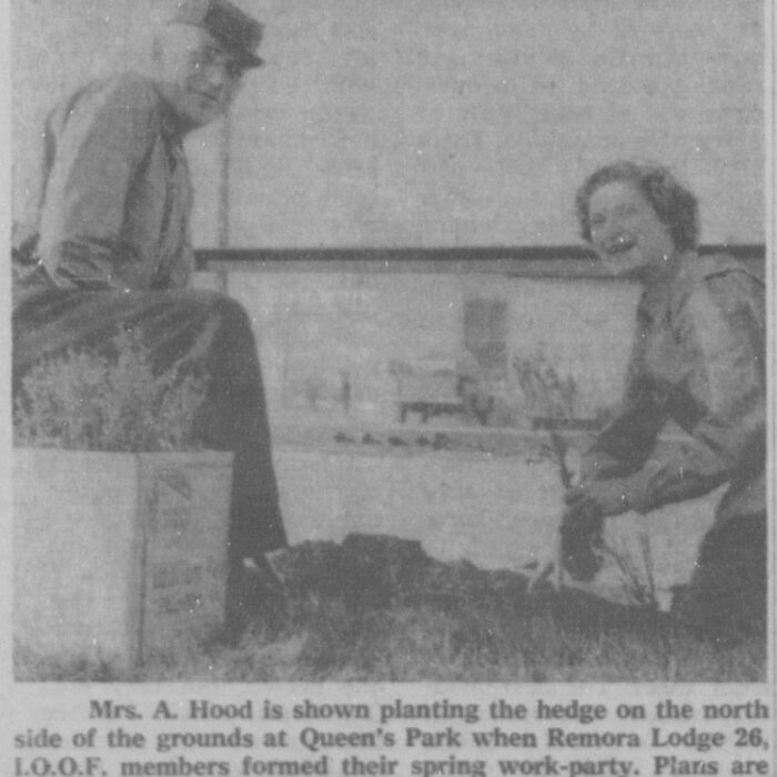 Planting Trees at Queens Park