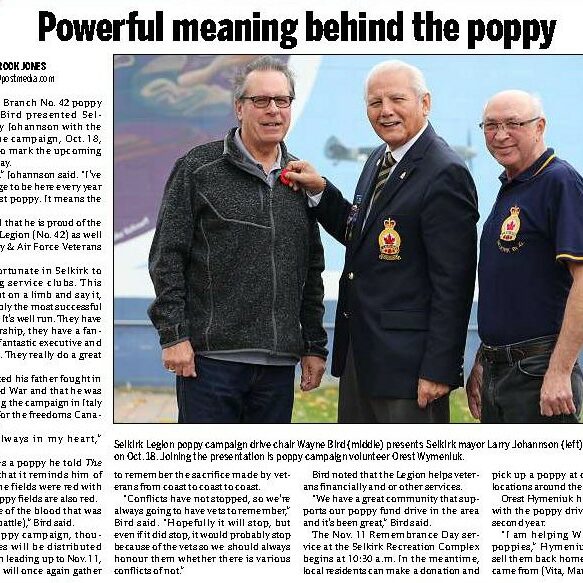 Powerful Meaning Behind the Poppy