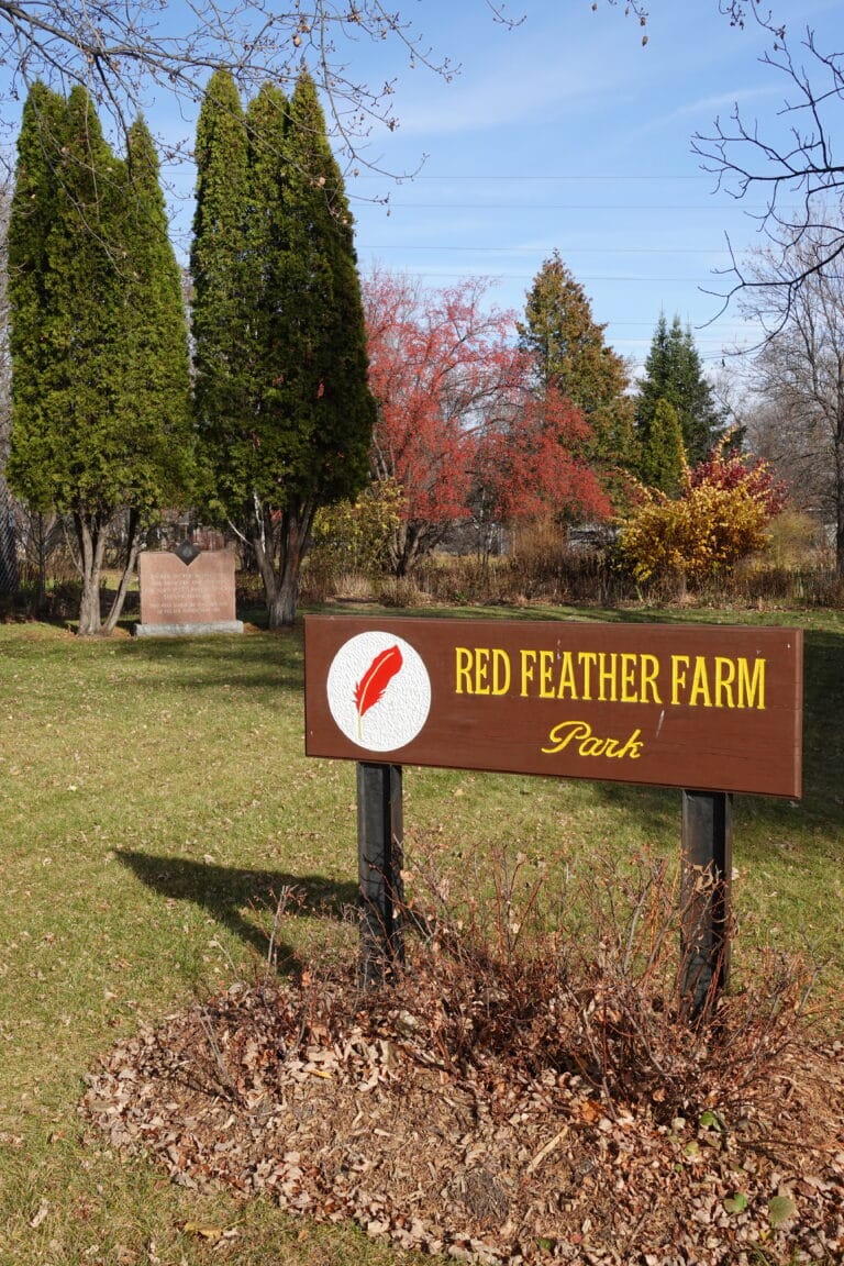 Red Feather Farm, 163 Eveline Street, 2022, Selkirk Museum Collection