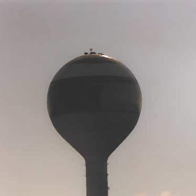 Colour image of the water tower from a distance. The tower is centered in the frame