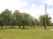 Open view of Penwarden Park. Playground and trees in sight.