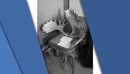 Horn chair in the Civic office