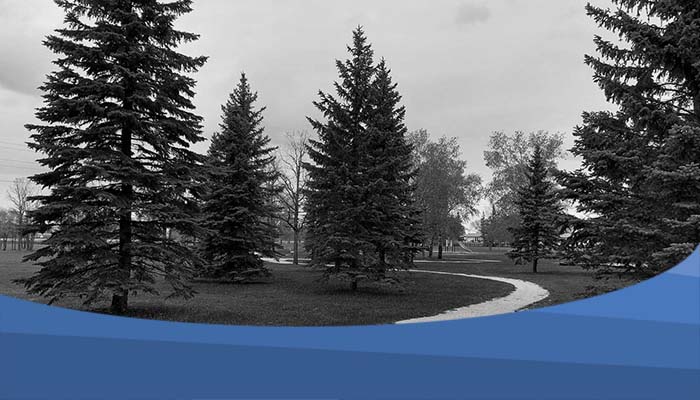 Black and white featured photo for Penwarden park