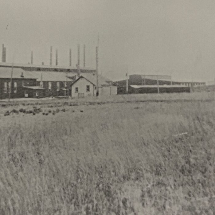 Black and white wide scale portrait of the Selkirk Steel Mill