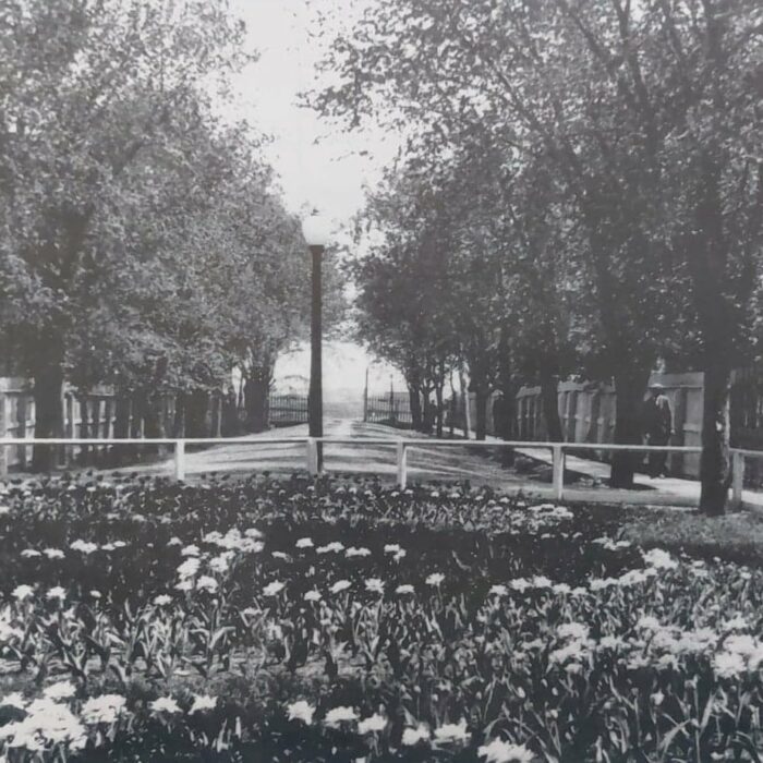 Roadway and Flower Garden Leading up to the Hospital, Date Unknown, Selkirk Mental Health Centre Archives Selkirk Asylum Main Entry