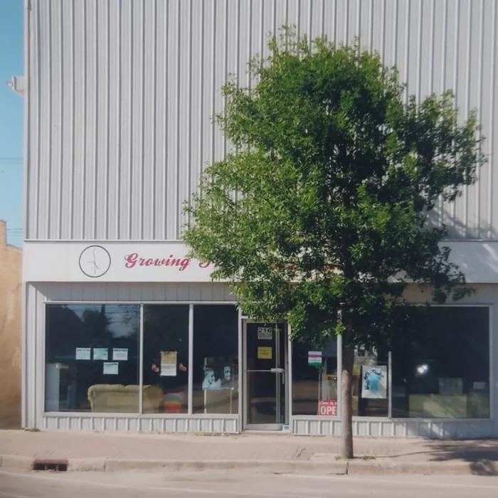 216 Manitoba Ave, Date Unknown, Selkirk Museum Collection Coloured view of Manitoba avenue store covered by a tree