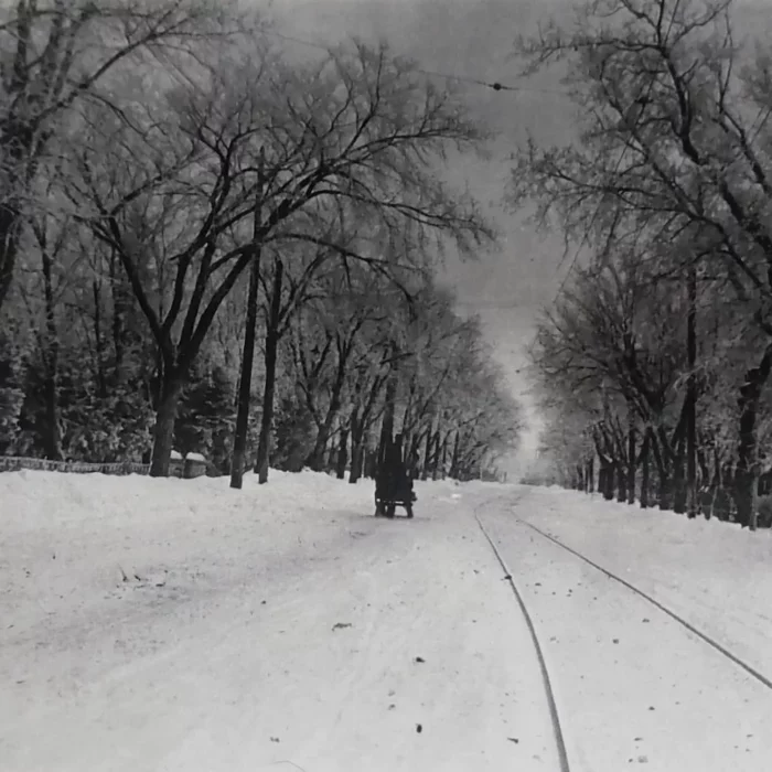 Eveline Street Outside Gilbart's with Train Tracks and Horse and Wagon