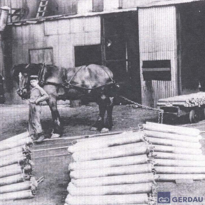 Billet Handling Horse and Cart, Date Unknown, Gerdau Horse shown pulling a cart in the yard of the Manitoba Rolling Mills