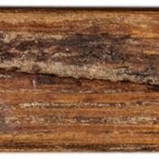 1 Made Beaver Tally stick, 1670-1870, Hudson’s Bay Company Archives and Bank of Canada Museum Long beaver tally stick from 1670-1870