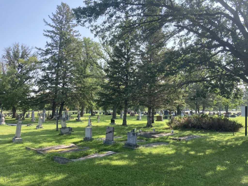 Photo of green lawn with headstones and trees.