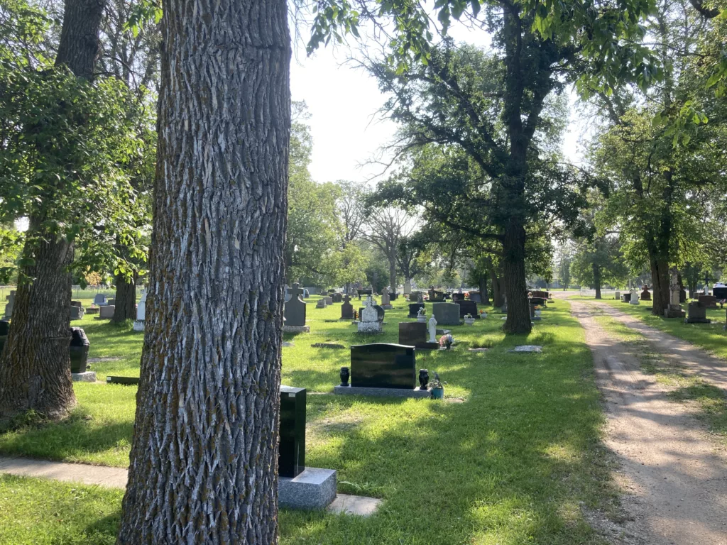 Photo of trees and headstones.