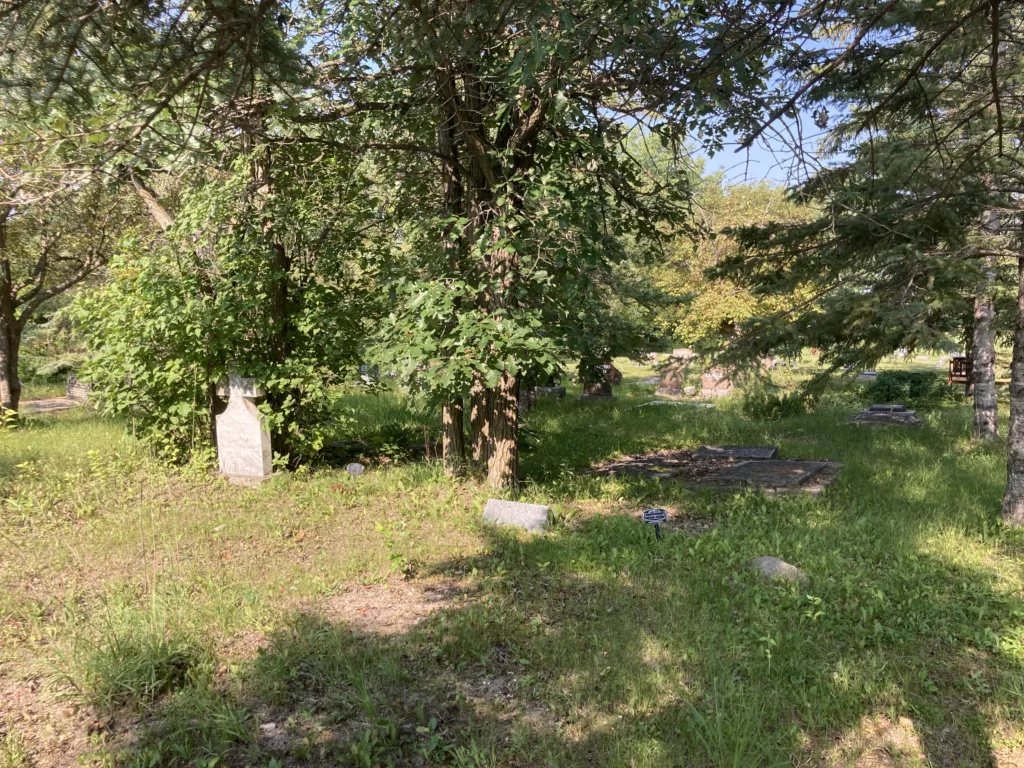 Photo of trees and headstones.