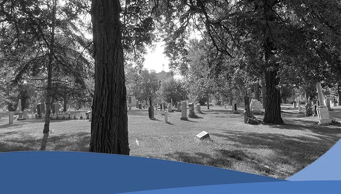 Feature Image – St. Clement Church Yard, 2024, Museum Collection St. Clement Church Yard showing trees and graves