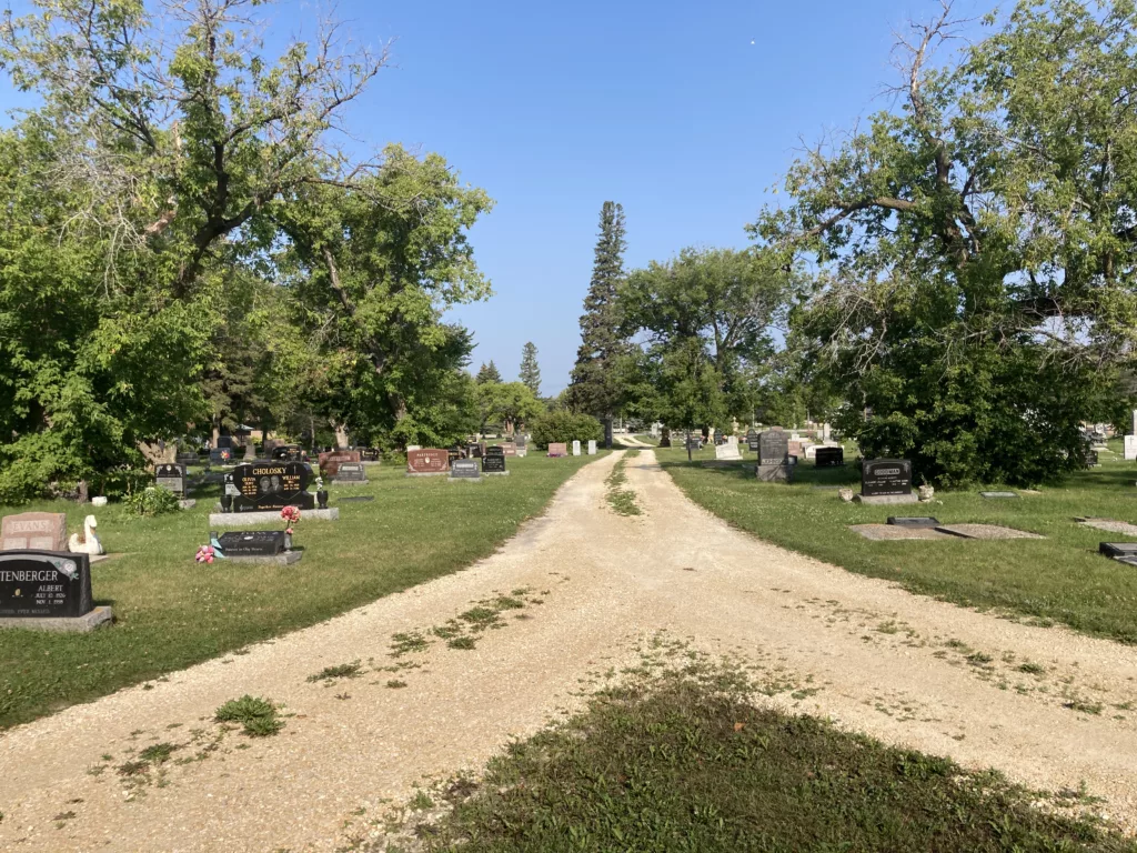 Photo of gravel road leading through cemetery.