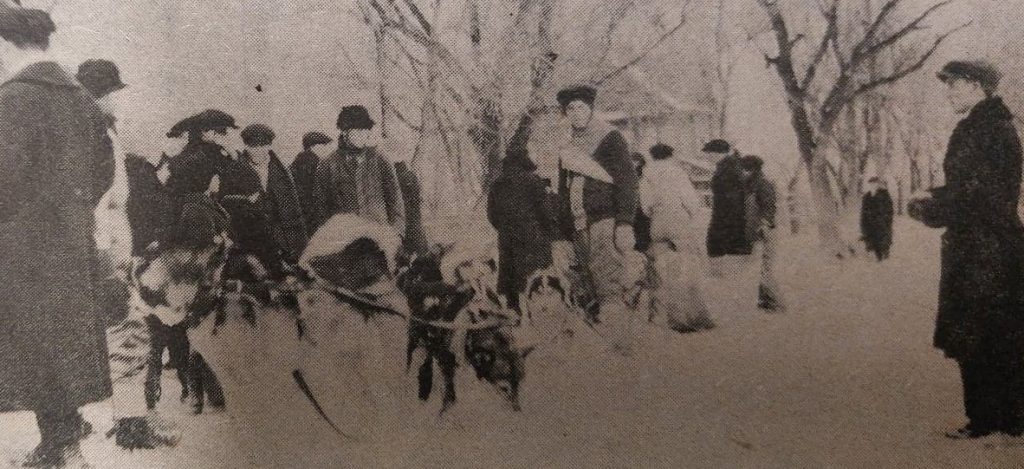 Dog races on Eveline Street as people watch
