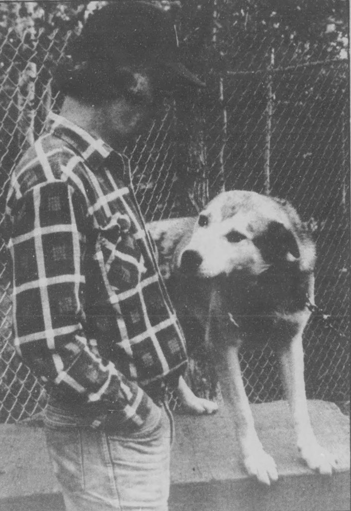 Man with a tartan shirt looking at his dog