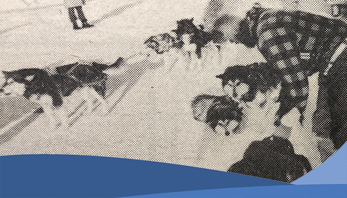 Snail mail, or should we say dog mail Feature Image Black and white photo of dog sleds, with a man tending to them
