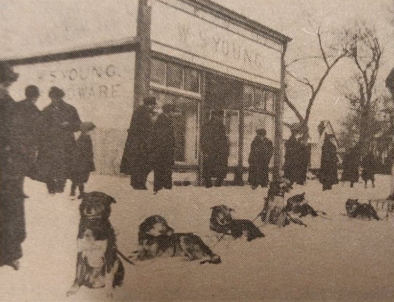 W.S. Young Storefront with Dog Sled and people standing outside