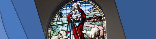 Christ Church Banner