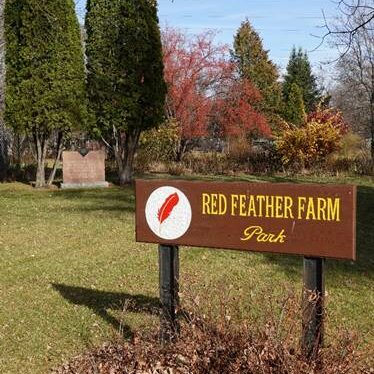 Colour image of a park of trees with a sign at the front which reads Red Feather Farm