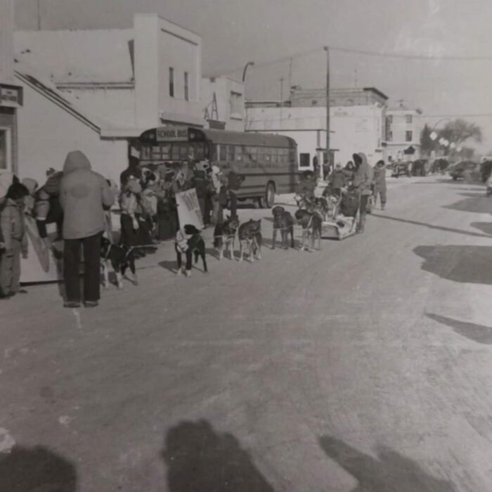 Dog Team on Eveline Street, Festival on the Red, 1982, Selkirk Museum Collection Black and white image showing the Festival on the Red event. People and dogs line the street