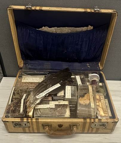 Colour photo of a brown case with natural history specimens inside. The case is open and shows the specimens packed into it