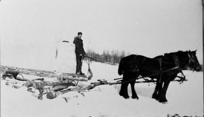 A black and white image of a man with a large black draft horse