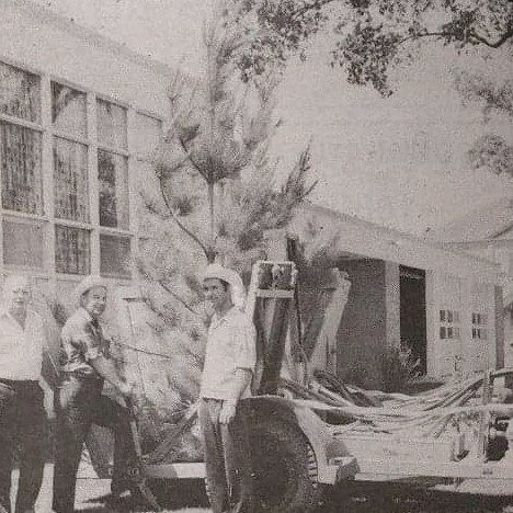 Mayor Pat Montgomery Supervises the Planting of Trees in front of the Civic Offices, 1969, Selkirk Enterprise Black and white photo of civic office building with a tree at the front
