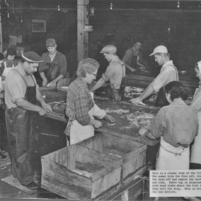 Close-up of Filleters at Booth Fisheries with Caption, 1934-1935, Booth Fisheries Black and white photo of a group of people working at benches filleting fish