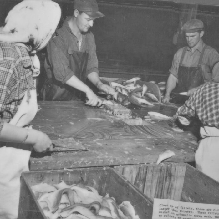 Close-up of four Filleters at Booth Fisheries, 1934-1935, Booth Fisheries Black and white photo of a group of people at a table filleting fish