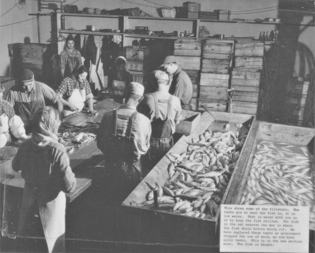 Black and white photo of a group of people filleting fish at Booth Fisheries