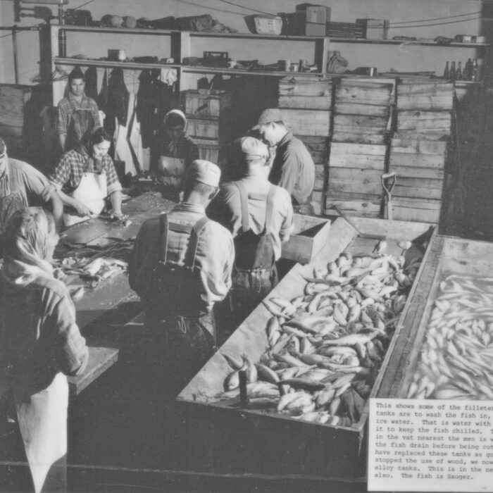 Filleters at Booth Fisheries, 1934-1935, Booth Fisheries Black and white photo of a group of people filleting fish at Booth Fisheries